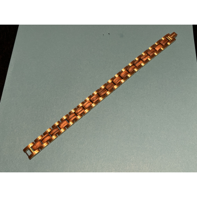 Goldy Armband  Raptor Speciale collectie: 